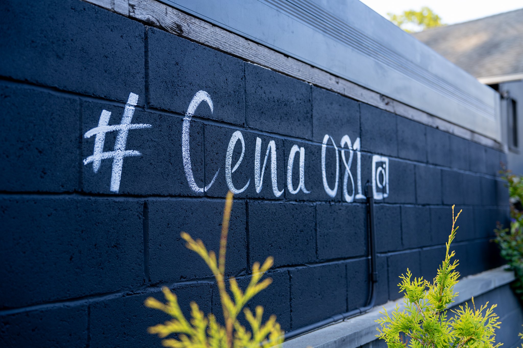 Close-up of a dark blue brick wall with white chalk writing that reads '#Ceno' on the side of building, with some green plants in the foreground.